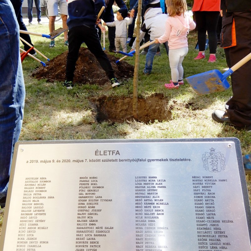 Életfa ültetés a város napján 29